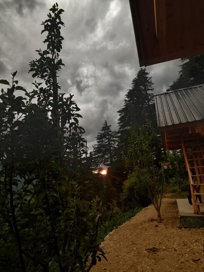 Вилла Deep In Woods Jibhi Экстерьер фото