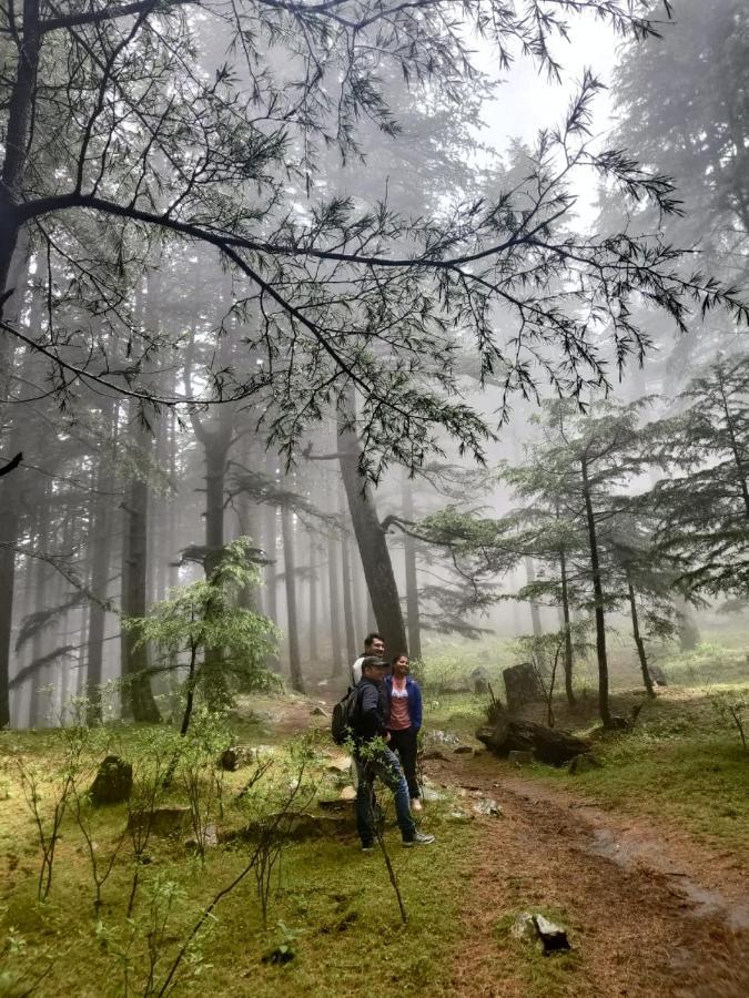 Вилла Deep In Woods Jibhi Экстерьер фото